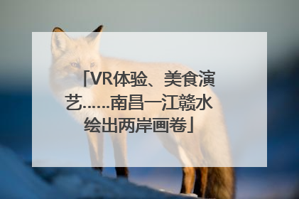 VR体验、美食演艺……南昌一江赣水绘出两岸画卷